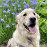 Quinebaug Valley Veterinary Hospital ico
