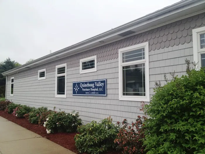 Quinebaug Valley Veterinary Hospital Picture 9