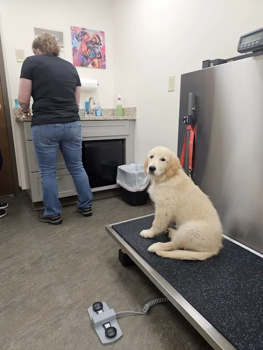 Brooklyn Veterinary Hospital Picture 4