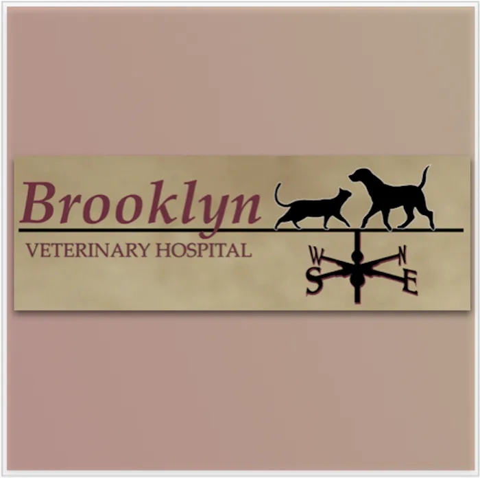 Brooklyn Veterinary Hospital Picture 10