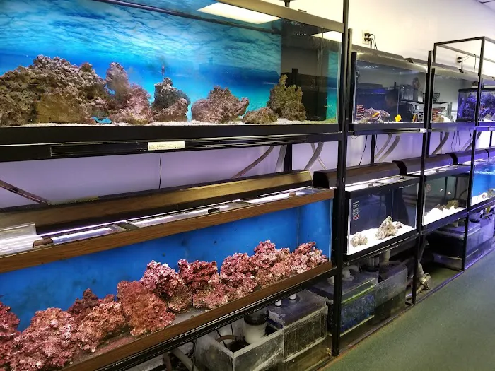 Seascape Aquatics Picture 4