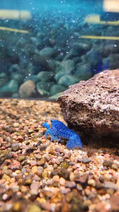 Seascape Aquatics Picture 7