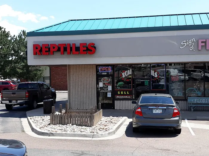 Reptiles Picture 3