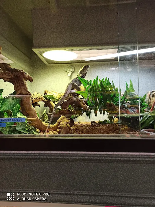 Scales 'N Tails Colorado Springs Picture 1