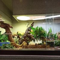 Scales 'N Tails Colorado Springs ico