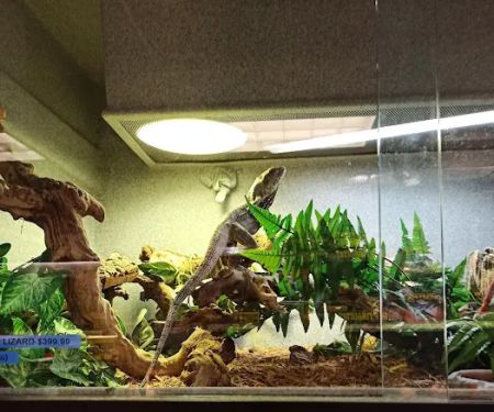 Scales 'N Tails Colorado Springs