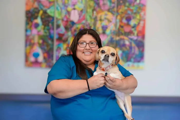 Glastonbury Veterinary Hospital Picture 8