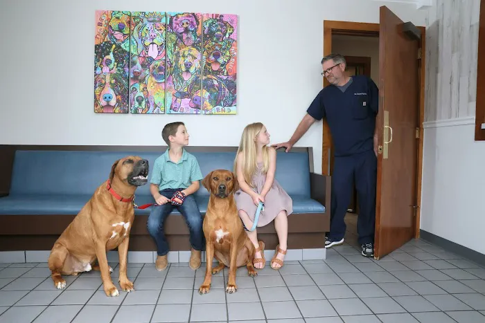 Glastonbury Veterinary Hospital Picture 9