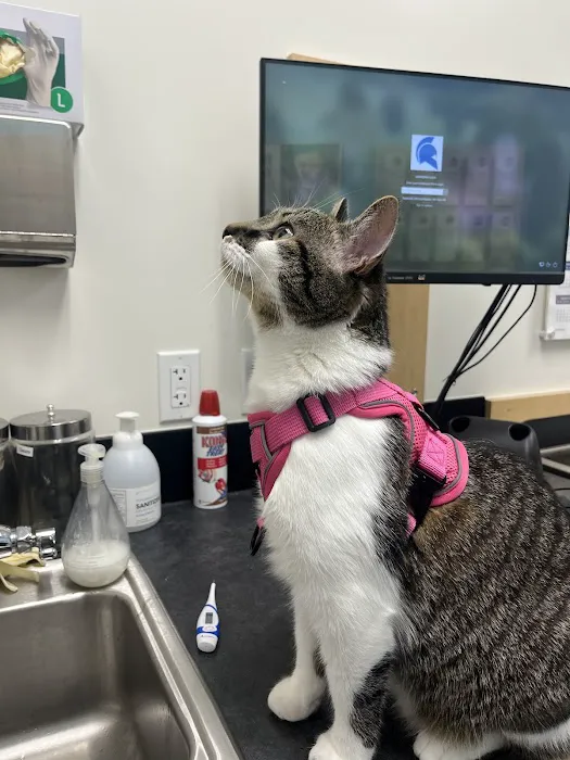 Banfield Pet Hospital Picture 1