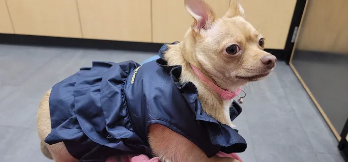 Banfield Pet Hospital Picture 7