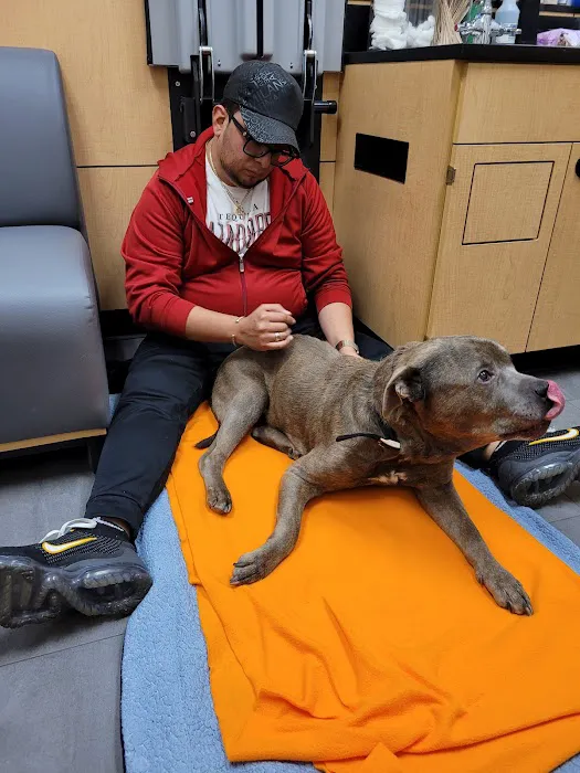 Banfield Pet Hospital Picture 9