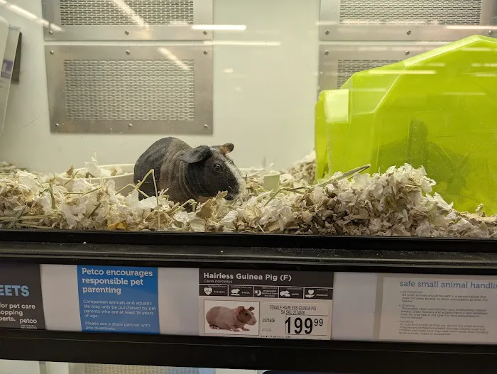 Petco Picture 1