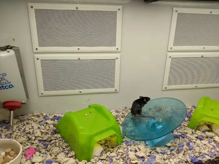 Petco Picture 5