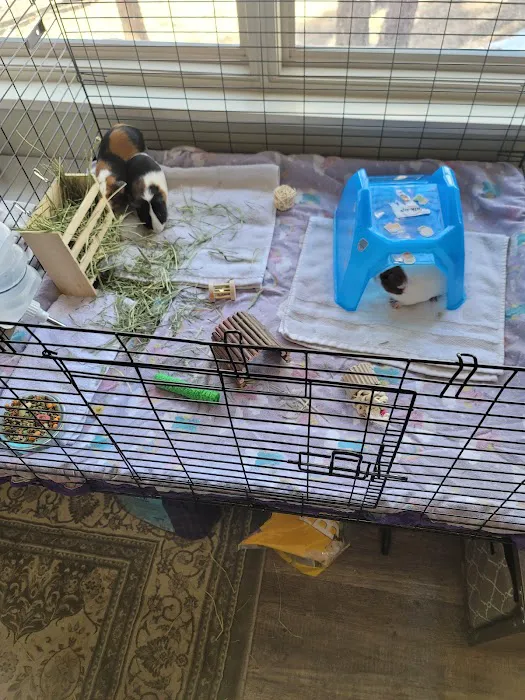 Petco Picture 2
