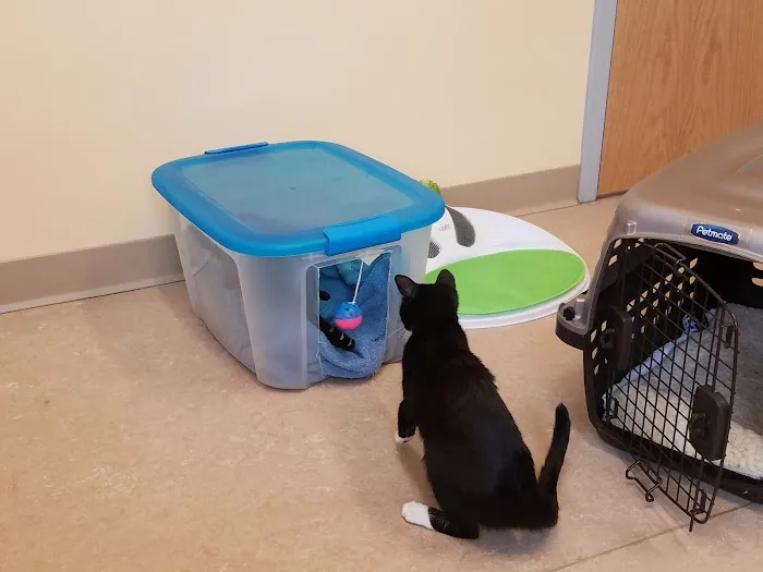 Beaver Brook Animal Hospital Picture 5