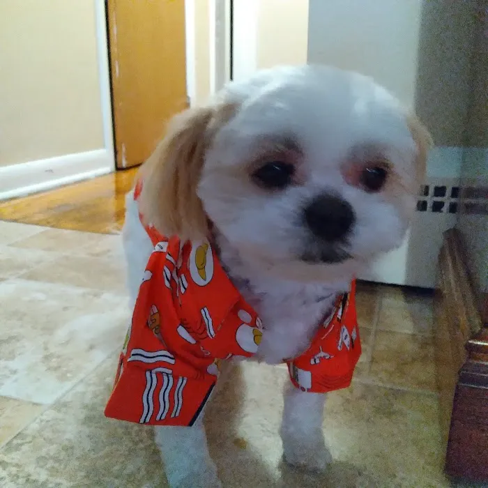 Beaver Brook Animal Hospital Picture 6