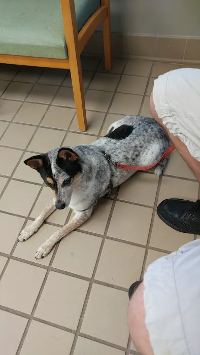 Double A Veterinary Hospital Picture 3