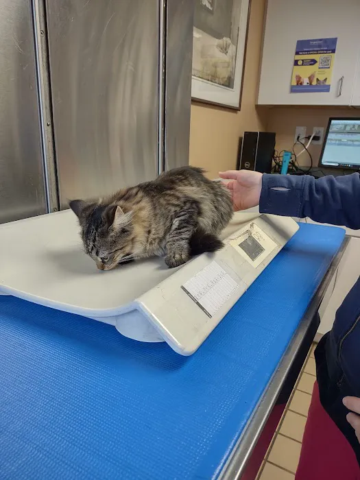 Double A Veterinary Hospital Picture 2