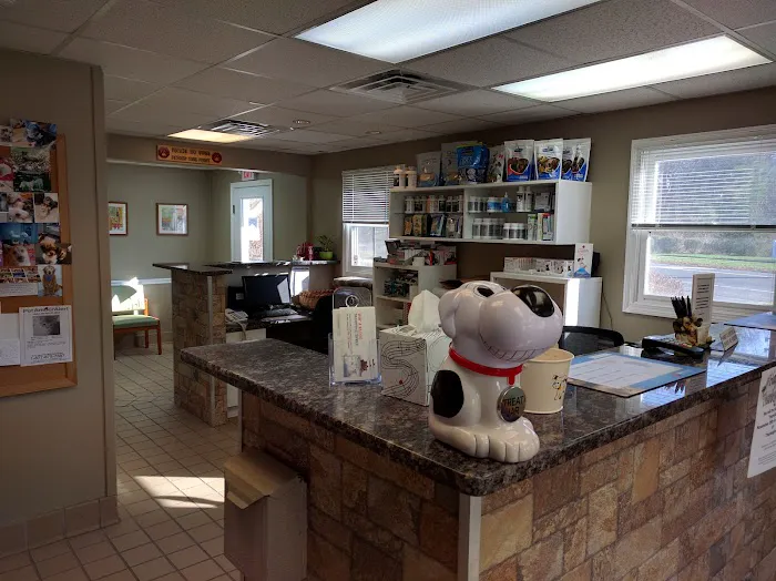 Double A Veterinary Hospital Picture 9