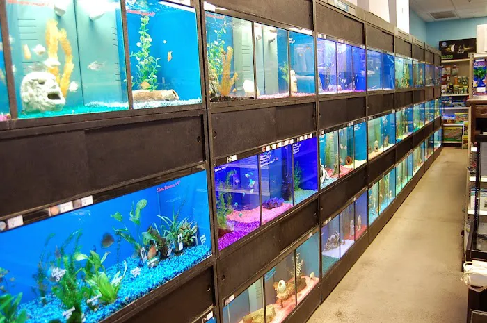 Blue Reef Aquatics Picture 2