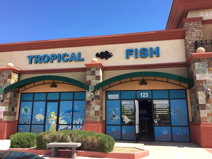 Blue Reef Aquatics Picture 3