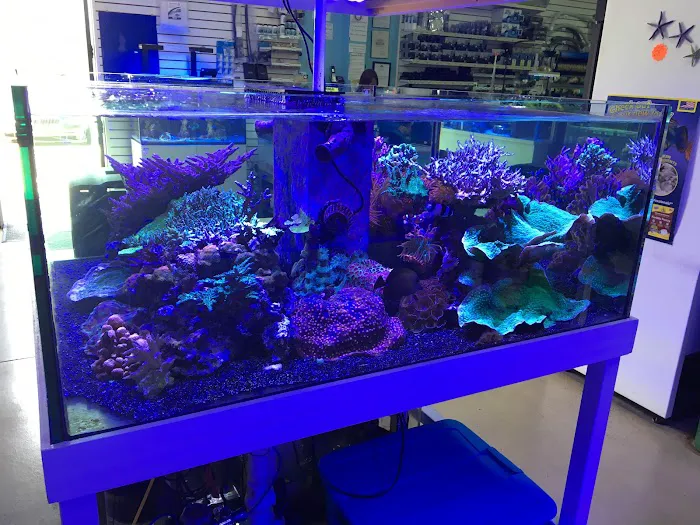 Blue Reef Aquatics Picture 4