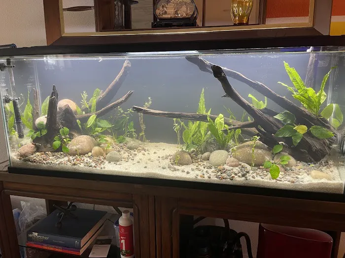 Blue Reef Aquatics Picture 6