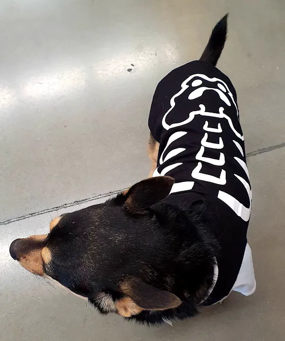 Petco Picture 7