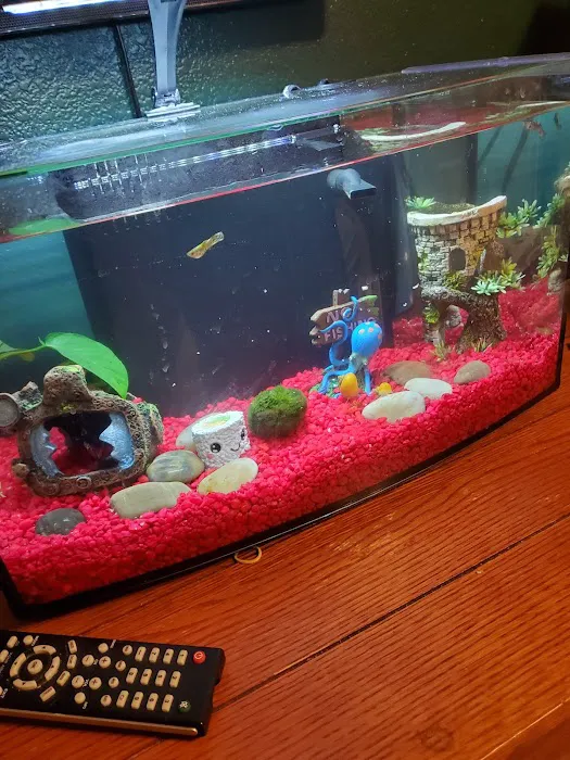 Petco Picture 3