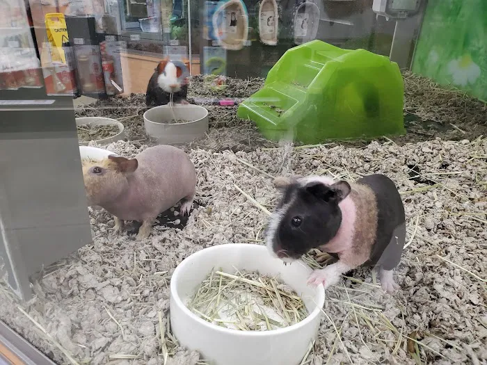 Petco Picture 6