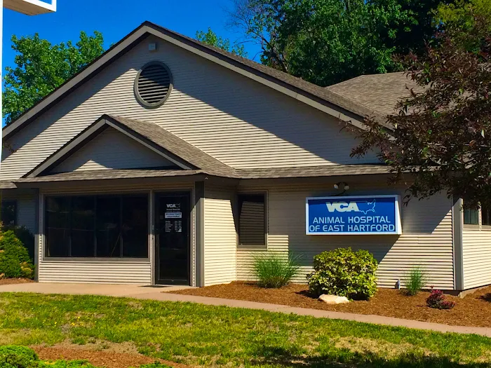 VCA Animal Hospital of East Hartford Picture 7