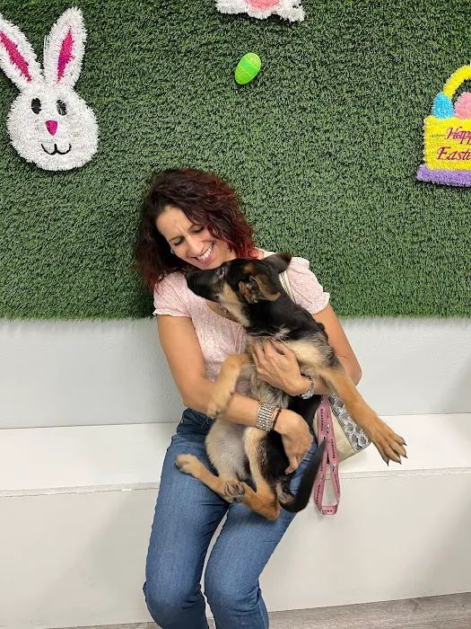 Puppies For Less - Rancho Las Vegas Picture 1