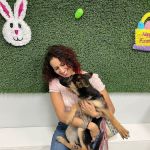 Puppies For Less - Rancho Las Vegas