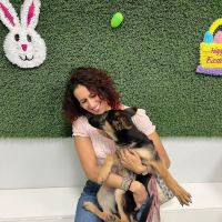 Puppies For Less - Rancho Las Vegas ico