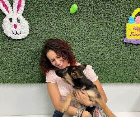 Puppies For Less - Rancho Las Vegas