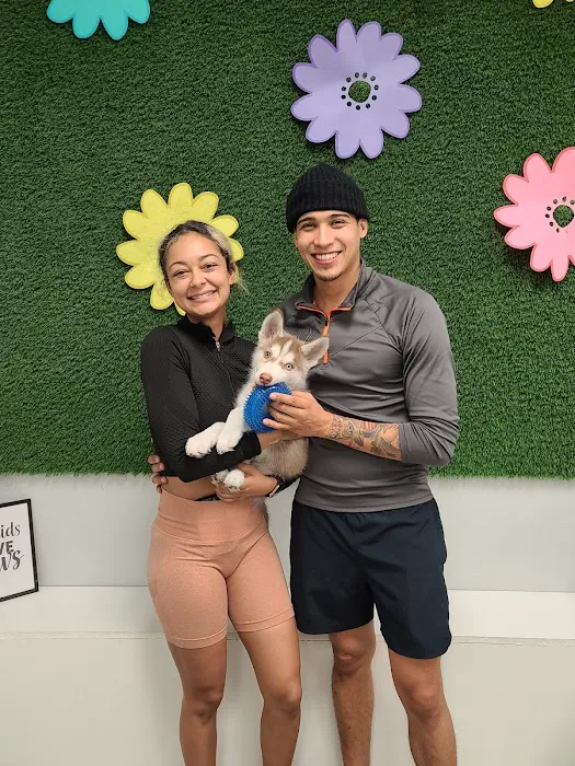 Puppies For Less - Rancho Las Vegas Picture 3