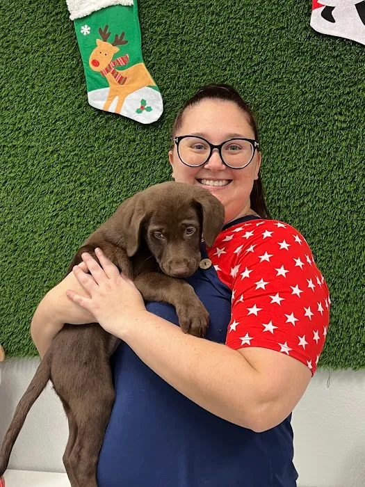 Puppies For Less - Rancho Las Vegas Picture 2