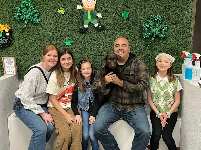 Puppies For Less - Rancho Las Vegas Picture 9
