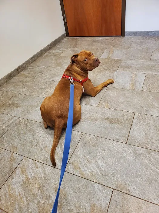 VCA Cheshire Animal Hospital Picture 3