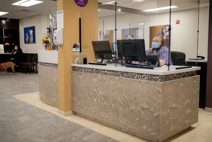 VCA Cheshire Animal Hospital Picture 6