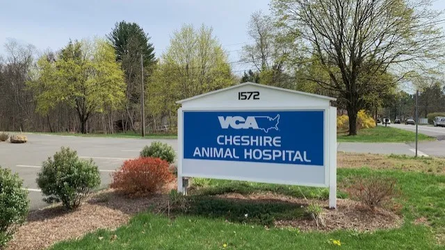 VCA Cheshire Animal Hospital Picture 8