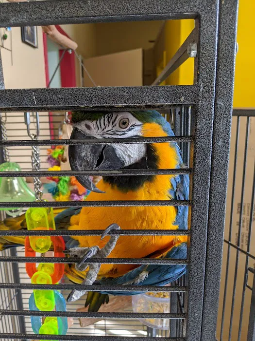 For the Birds Picture 1