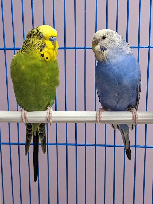 Kensington Bird & Animal Hospital Picture 4