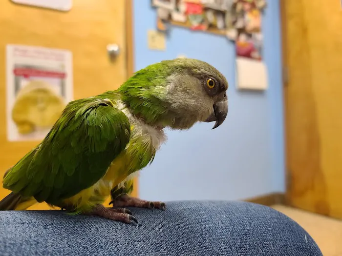 Kensington Bird & Animal Hospital Picture 6