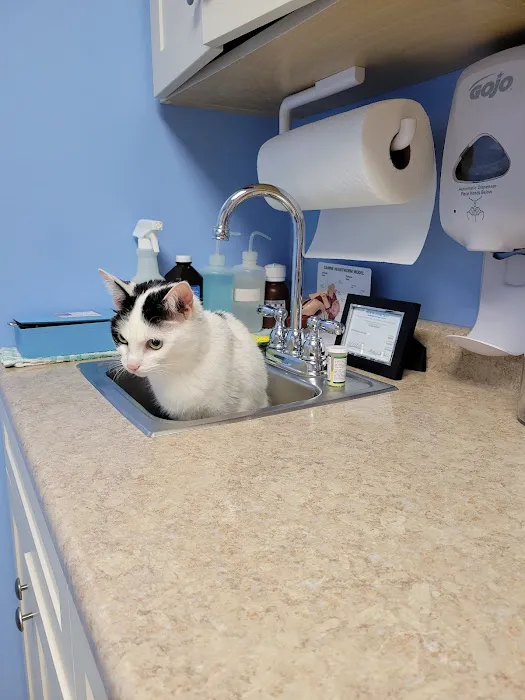 Kensington Bird & Animal Hospital Picture 5