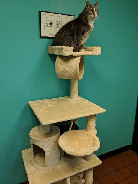 Mount Carmel Veterinary Hospital Picture 9