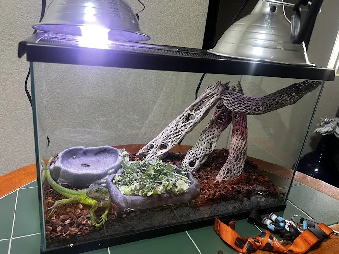 Levon The Snake Man Picture 4