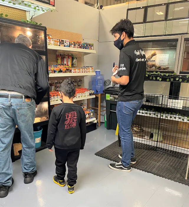 Freddy's Reptiles, LLC Picture 1