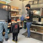 Freddy's Reptiles, LLC