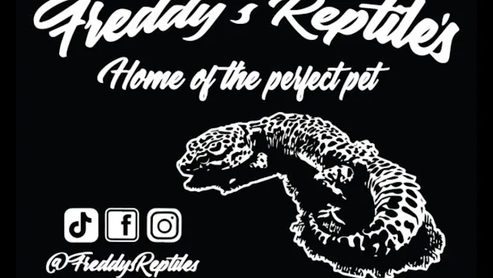 Freddy's Reptiles, LLC Picture 6
